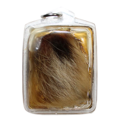 Tiger Skin - Ajahn Authen Boonyarit