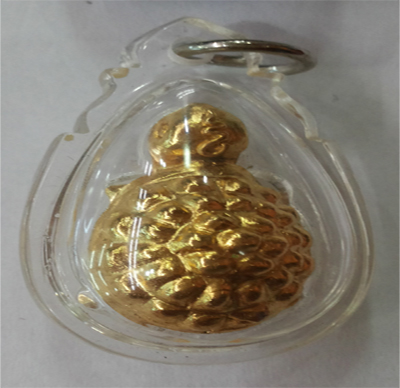 Tortoise - KB Boon Yang