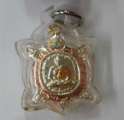 Tortoise - Silver - Small - LP Liew