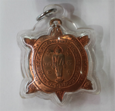 Tortoise - Bronze - Big - LP Liew