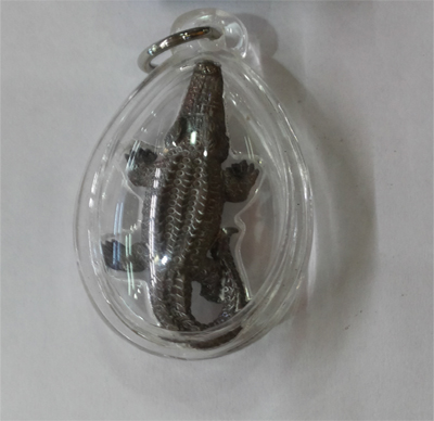 Crocodile - LP Sawat