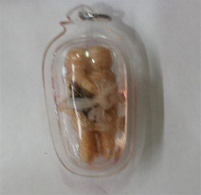 Inku in oil - Ajahn Nan Thing