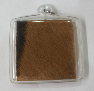 Tiger Skin - LP Pramoot