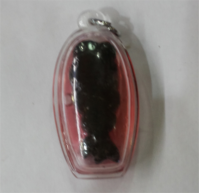 Nang Kot - LP Somchai