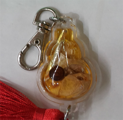 Wan Dok nTong - Lersi Phuttavet