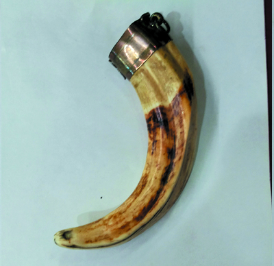 Wild Boar Teeth - LP Kambu