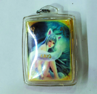 9 Tail Fox - LP Namo