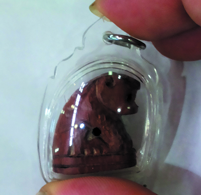 Tiger - Wood - LP Samang