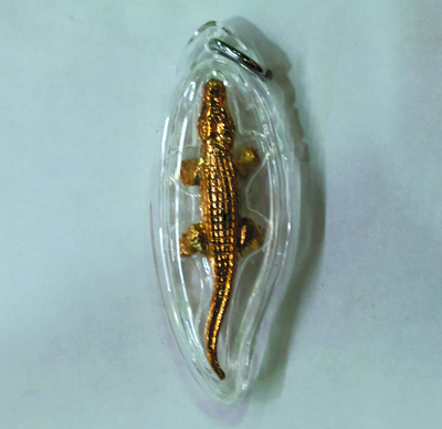 Crocodile - BE.2554 - LP Supa