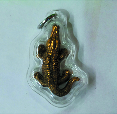 Crocodile - LP Uthai