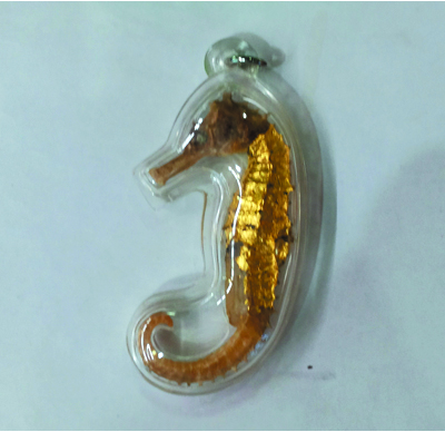 Sea Horse - LP Wakai